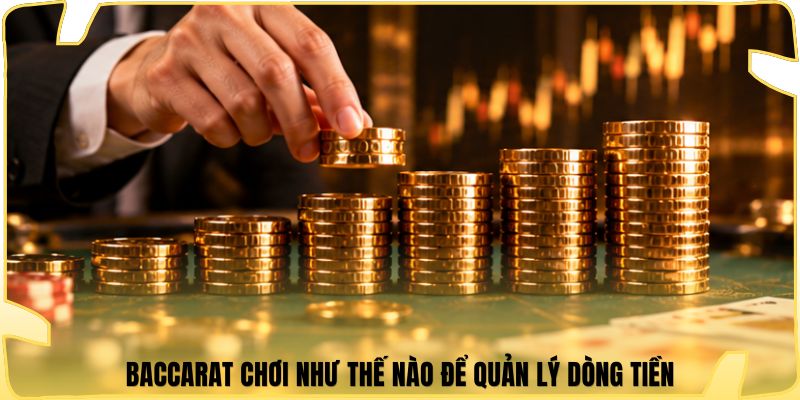 Baccarat chơi như thế nào để quản lý dòng tiền