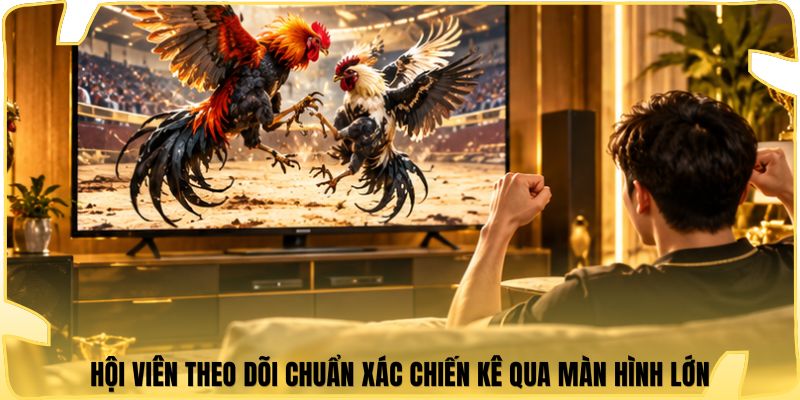 Hội viên theo dõi chuẩn xác chiến kê qua màn hình lớn